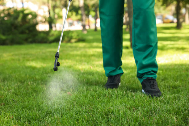 Pest Control Cost in Mason, TX