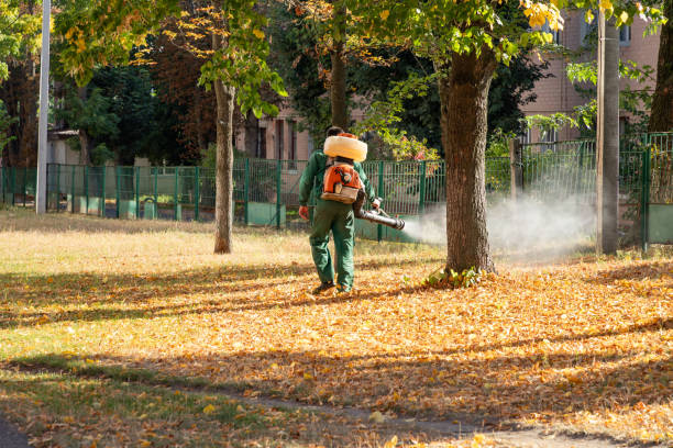 Best Mosquito Control Services  in Mason, TX