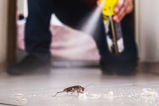 Best Commercial Pest Control Services  in Mason, TX