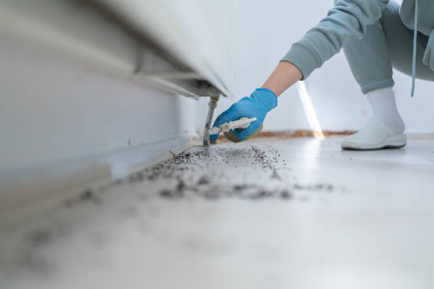 Best Affordable Pest Control Services  in Mason, TX